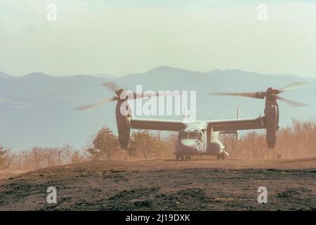 Un V-22 Osprey, avec le 1st amphibie Rapid Deployment Regiment (1ARDR) du Japon, insère des soldats japonais pour effectuer des exercices de manœuvres de combat bilatéraux avec les Marines américaines au camp Fuji (Japon) du Combined Arms Training Center (CATC), le 15 mars 2022. Les exercices ont permis au 1ARDR d'affiner ses manœuvres de combat pendant les opérations bilatérales afin de créer une force plus cohérente. Exercice de défense maritime la Brigade de déploiement rapide amphibie est un exercice bilatéral visant à accroître l'interopérabilité et à renforcer les liens entre les forces américaines et japonaises pour la défense du Japon. (É.-U. Photo du corps marin par lance Cpl. C Banque D'Images