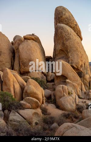 Paysage incroyable dans le parc national de Joshua Tree pendant les mois d'automne. Banque D'Images