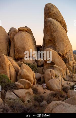 Paysage incroyable, vue de fond dans le désert de Mojave depuis le parc national de Joshua Tree. Avec randonneur pour balance. Banque D'Images