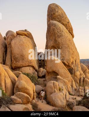 Paysage incroyable, vue de fond dans le désert de Mojave depuis le parc national de Joshua Tree. Avec randonneur pour balance. Banque D'Images