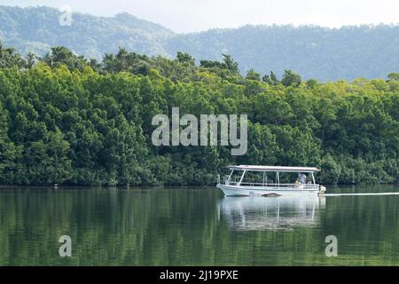 Bateau touristique sur la rivière Daintree, Queensland, Australie Banque D'Images