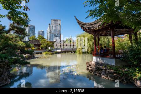 Jardin avec étang, pagode chinoise traditionnelle dans le jardin chinois classique du Dr. Sun Yat-Sen, bâtiments élevés à l'arrière, Vancouver, Britannique Banque D'Images