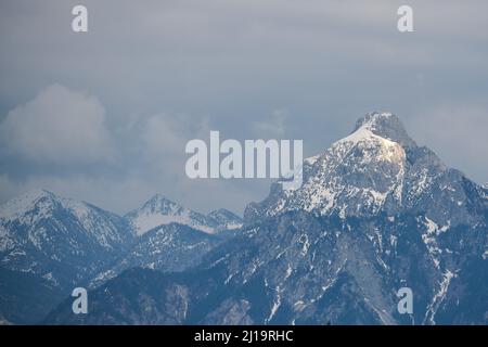 Sauling avec panorama de montagne d'Eisenberg, haute-Bavière, Bavière, Allemagne, Zell, Eisenberg, Bavière, Allemagne Banque D'Images