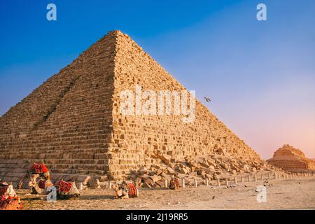 Camels repose près des ruines pyramides de Gizeh au Caire Egypte coucher de soleil ciel, Voyage égyptien. Banque D'Images