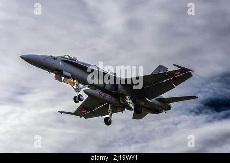 Chasseur Jet Swiss Air Force, FA 18 C Hornet J-5021 Banque D'Images