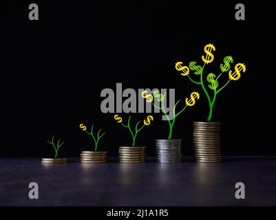 Croissance de l'argent économiser de l'argent. Pièces de l'arbre supérieur à montré concept de croissance des affaires . Photo de stock Banque D'Images