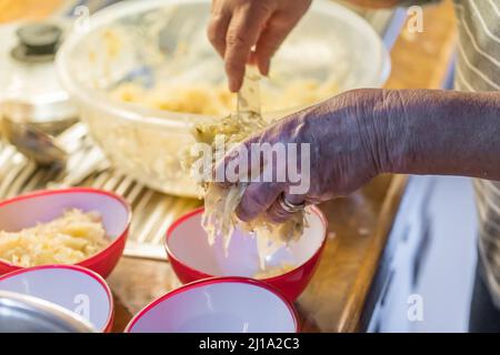 Bol à salade en plastique rouge prêt à l'emploi avec chou blanc, salade de chou dans la cuisine sur le comptoir, Allemagne Banque D'Images