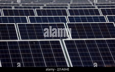 Turves, Royaume-Uni. 23rd mars 2022. Le soleil brille sur les panneaux solaires de cette ferme solaire près de Turves, Cambridgeshire, Royaume-Uni, fournissant de l'énergie aux compagnies d'électricité. Crédit : Paul Marriott/Alay Live News Banque D'Images