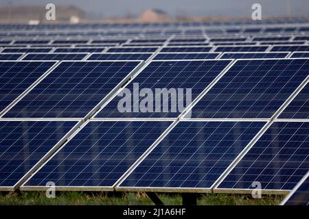 Turves, Royaume-Uni. 23rd mars 2022. Le soleil brille sur les panneaux solaires de cette ferme solaire près de Turves, Cambridgeshire, Royaume-Uni, fournissant de l'énergie aux compagnies d'électricité. Crédit : Paul Marriott/Alay Live News Banque D'Images