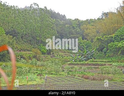 Tengxian County, Chine. 24th mars 2022. (Les sauveteurs recherchent l'autre boîte noire dans la zone autour du site de l'accident d'avion dans le comté de Tengxian, région autonome de Guangxi Zhuang, dans le sud de la Chine, 24 mars 2022. Une boîte noire de l'avion passagers China Eastern Airlines qui s'est écrasé lundi dans la région autonome de Guangxi Zhuang, dans le sud de la Chine, a été récupérée mercredi après-midi. La boîte noire récupérée est considérée comme l'enregistreur de voix du poste de pilotage, a déclaré un responsable de l'aviation à un point de presse mercredi soir. Credit: Xinhua/Alay Live News Banque D'Images