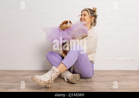 Bonne femme bien entretenue avec des cheveux équitables en chandail beige, pantalon violet tenir chien spaniel portant cape organza pourpre. Banque D'Images