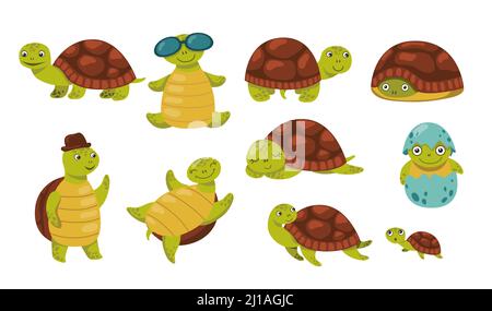 Ensemble de tortues mignon et drôle. Adorable personnage de dessin animé marchant, couver, se cacher, se détendre, dormir. Illustration vectorielle plate pour animaux ou animaux sauvages conc Illustration de Vecteur