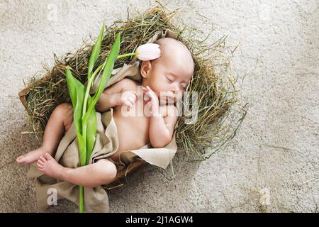 Le joli petit bébé est couché dans la boîte en bois avec une fleur de tulipe Banque D'Images