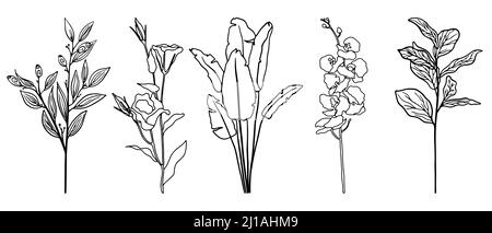 Ensemble vectoriel de feuilles et de fleurs exotiques dessinées en une seule ligne. Illustration florale tropicale Doodle. Ensemble de paumes à une seule ligne. Illustration de Vecteur