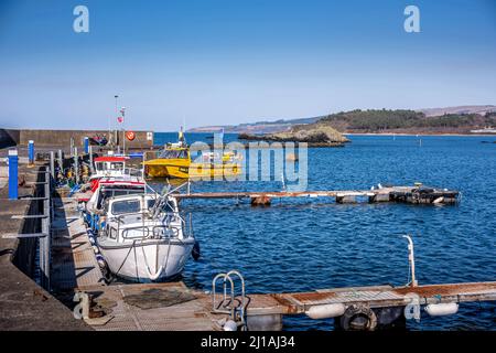 Maidens Harbour South Ayrshire en mars soleil de printemps Banque D'Images