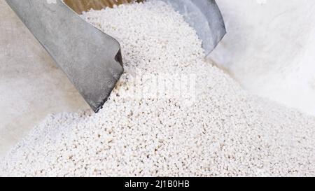 La granule en plastique blanc de traitement secondaire sort du broyeur du granulateur en petits granules. Concept de recyclage du plastique, production de Banque D'Images