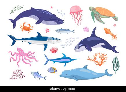Ensemble d'icônes plates pour animaux marins divers. Collection d'illustrations vectorielles isolées de poissons, de méduses, de baleines, de tortues, de poulpes et de requins. Mer ou o Illustration de Vecteur