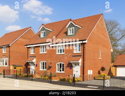 Nouvelle construction de maisons de spectacle semi-détachées Taylor Wimpey dans le parc Tudor. Hertfordshire. ROYAUME-UNI Banque D'Images