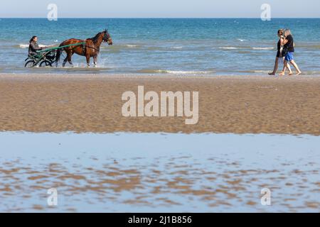 FORMATION DES CHEVAUX DE COURSE SUR LA PLAGE DE CABOURG, CALVADOS, NORMANDIE, FRANCE Banque D'Images