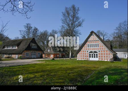 Worpswede, Allemagne. 24th mars 2022. Vue sur la Haus im Schluh dans le village des artistes de Worpswede, pendant la prévisualisation de la presse de l'exposition "Heinrich Vogeler. Le nouveau Man.' Heinrich Vogeler (1872-1942) est l'un des plus grands peintres et artistes graphiques de l'Art Nouveau. Credit: Karsten Klama/dpa/Alay Live News Banque D'Images