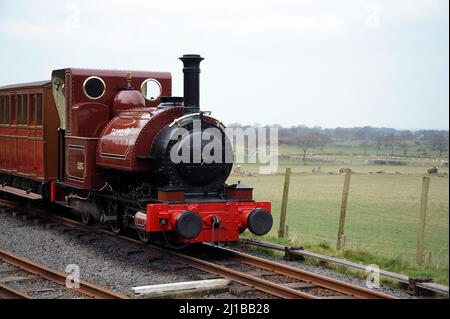 'Talyllyn' à Brynglas. Banque D'Images