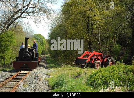 'Winifrad' entre Dolfawr et Pentrepiod s'arrête avec un train de wagons d'ardoise, passant devant un tracteur d'époque. Banque D'Images