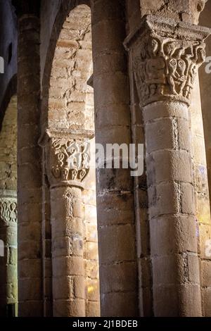 France, Puy de Dome, Biollet, Dhagpo Kundreul Ling temple Bouddhiste le ...