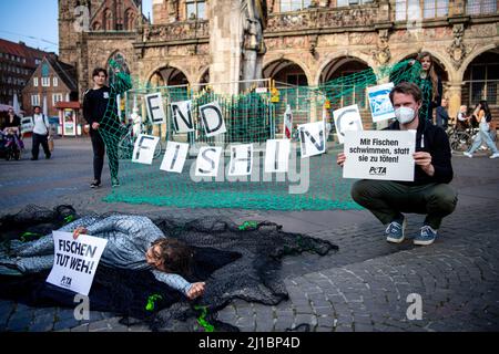 Brême, Allemagne. 24th mars 2022. Les militants du PETA déguisés en poissons et portant des pancartes protestent sur la place du marché. Avec l'action de protestation, l'organisation des droits des animaux veut attirer l'attention sur le fait que les créatures marines sont des êtres sensibles et peuvent sentir la douleur et la peur. Credit: Sina Schuldt/dpa/Alay Live News Banque D'Images