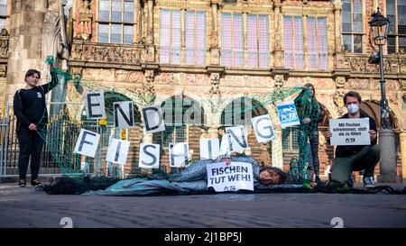 Brême, Allemagne. 24th mars 2022. Les militants du PETA déguisés en poissons et portant des pancartes protestent sur la place du marché. Avec l'action de protestation, l'organisation des droits des animaux veut attirer l'attention sur le fait que les créatures marines sont des êtres sensibles et peuvent sentir la douleur et la peur. Credit: Sina Schuldt/dpa/Alay Live News Banque D'Images