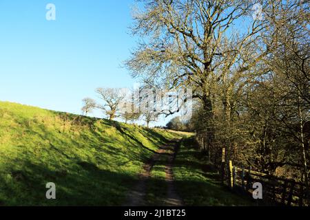 Vue le long de North Downs Way longue distance au-dessus de Brabourne près d'Ashford, Kent, Angleterre, Royaume-Uni Banque D'Images