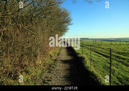 Vue le long de North Downs Way longue distance au-dessus de Brabourne près d'Ashford, Kent, Angleterre, Royaume-Uni Banque D'Images