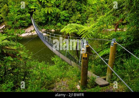 Passerelle au-dessus de la rivière Otaki dans la zone de la fourche d'Otaki du parc forestier de Tararua, la côte de Kapiti, l'île du Nord, la Nouvelle-Zélande, une zone avec une forêt pluviale dense Banque D'Images