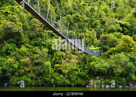 Passerelle au-dessus de la rivière Otaki dans le parc forestier de Tararua, Île du Nord, Nouvelle-Zélande, une région à forte forêt tropicale. Vue basse de la caméra Banque D'Images