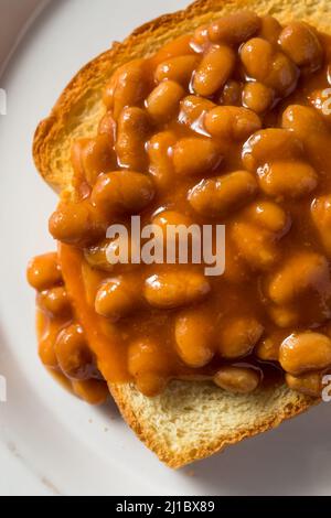 Haricots anglais faits maison sur du pain grillé pour le petit-déjeuner Banque D'Images