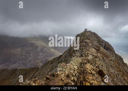 Ramblers sur Crib Goch Ridge, Snowdon Horseshoe Banque D'Images