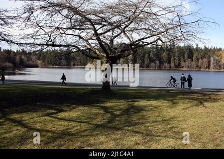Une personne qui marche et fait du vélo le long du lac Lost Lagoon dans le parc Stanley, Vancouver, Canada Banque D'Images