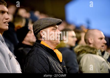 Loup FC supporter ventilateur portant chapeau en tissu. Wolverhampton Wanderers / Queens Park Rangers à Molineux 31/12/2016 - Sky Bet Championship Banque D'Images