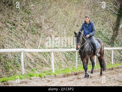 Novi Sad, Serbie - 16 mars 2019: Horseman dans la formation d'un cheval de compensation. Images éditoriales Banque D'Images