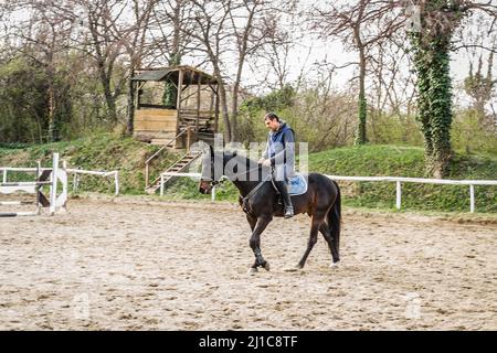 Novi Sad, Serbie - 16 mars 2019: Horseman dans la formation d'un cheval de compensation. Images éditoriales Banque D'Images