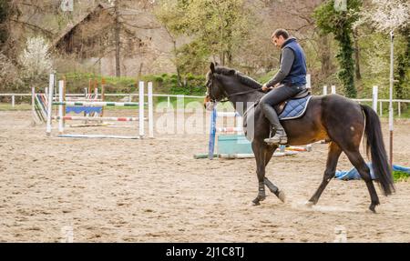 Novi Sad, Serbie - 16 mars 2019: Horseman dans la formation d'un cheval de compensation. Images éditoriales Banque D'Images