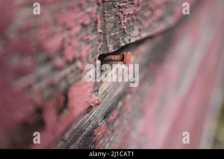 Vieux clou recouvert de peinture rouge, rouillé dans le bois en décomposition Banque D'Images