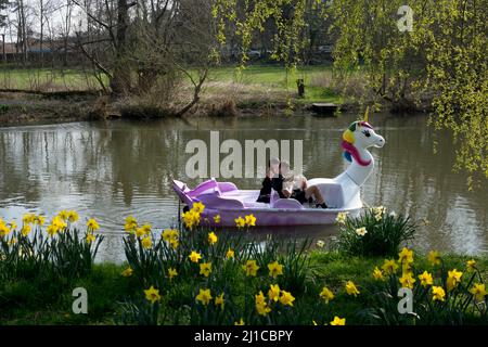 UNICORN pedalo on the River Avon, St. Nicholas Park, Warwick, Royaume-Uni Banque D'Images