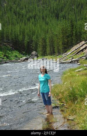 Une jeune femme attirante se jette dans la rivière Gibbon dans le parc national de Yellowstone. Son Jean est enroulé et il est à la cheville. Banque D'Images