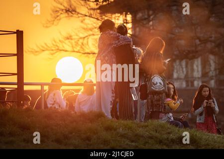 Londres, Royaume-Uni. 24th mars 2022. Météo au Royaume-Uni : une lumière spectaculaire au coucher du soleil depuis le sommet de Greenwich Park tandis que la ville fait l'expérience d'une vague de chaleur d'une semaine, avec des températures qui devraient atteindre 20C. Une alerte à la pollution de l'air élevée pour le centre de Londres a également été appelée au cours des prochains jours. Credit: Guy Corbishley/Alamy Live News Banque D'Images