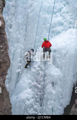 Une femme monte à gauche tandis qu'un autre grimpeur à droite descend un mur de glace de 160 m de haut dans le parc de glace d'Ouray, Colorado. Banque D'Images