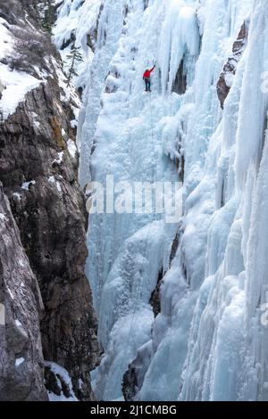 Un grimpeur à glace se visse dans un ancrage à vis de glace alors qu'il mène monte un mur de glace de 160 pi de haut dans le parc de glace d'Ouray, Colorado. Un grimpeur principal n'a pas de t Banque D'Images