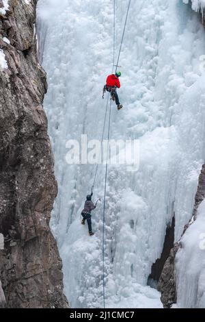 Une femme monte à gauche tandis qu'un autre grimpeur à droite descend un mur de glace de 160 m de haut dans le parc de glace d'Ouray, Colorado. Banque D'Images