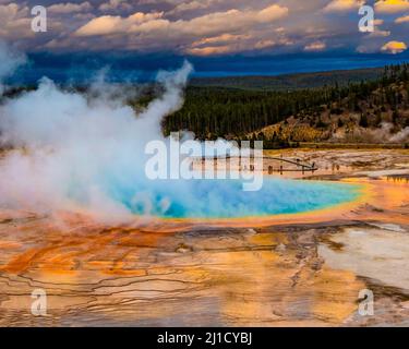 Grand Prismatic Spring, le Parc National de Yellowstone Banque D'Images