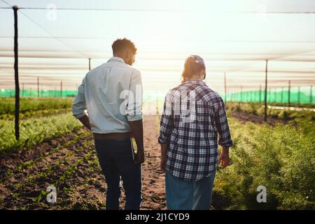 Garder un œil sur les choses à la ferme. Photo de deux jeunes agriculteurs travaillant à l'intérieur d'une serre sur leur ferme. Banque D'Images
