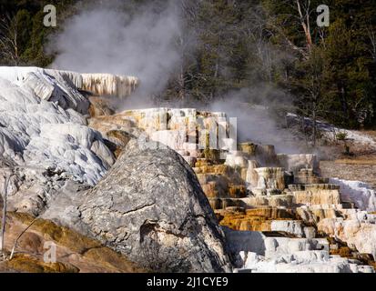 Le Parc National de Yellowstone Banque D'Images